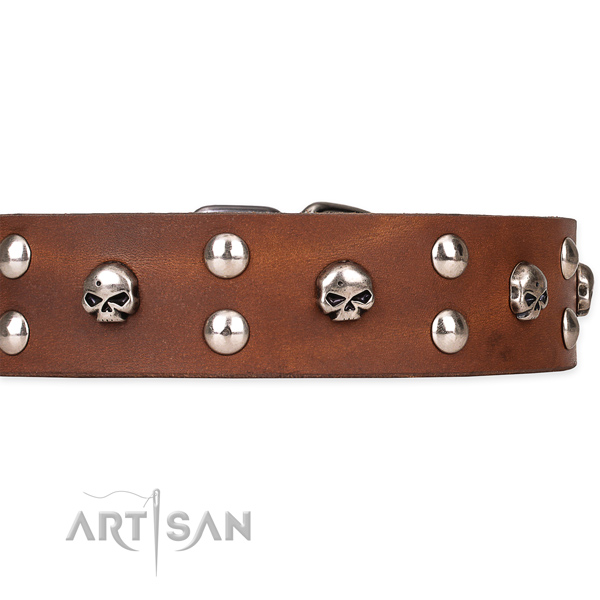 Full grain genuine leather dog collar with polished surface