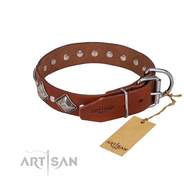 Full grain natural leather dog collar with polished exterior