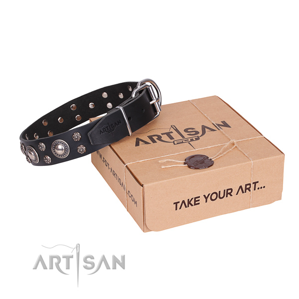 Everyday leather dog collar with stunning studs