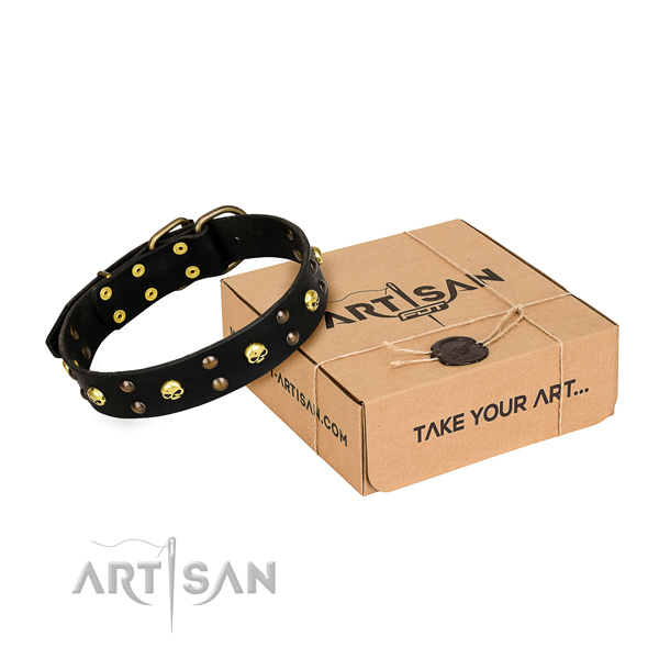 Casual leather dog collar with exceptional studs