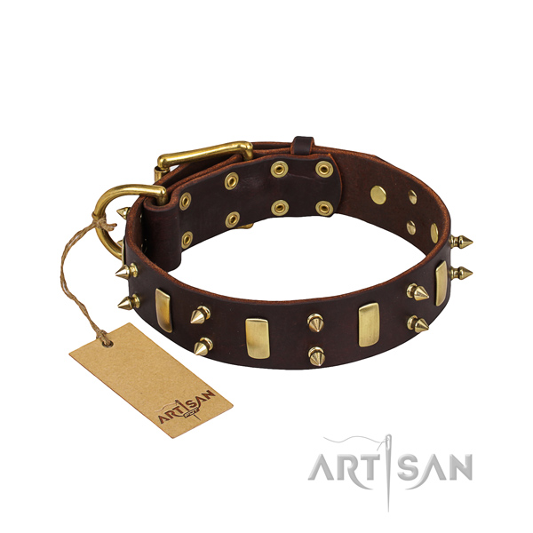 Full grain leather dog collar with polished exterior