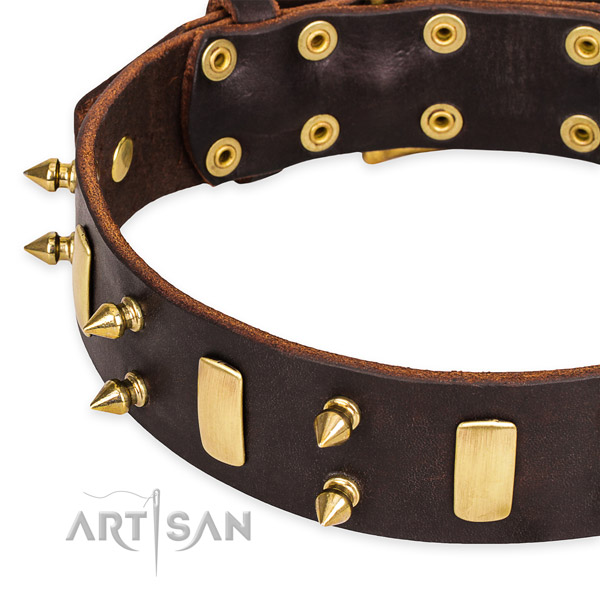 Easy to use leather dog collar with almost unbreakable brass plated hardware