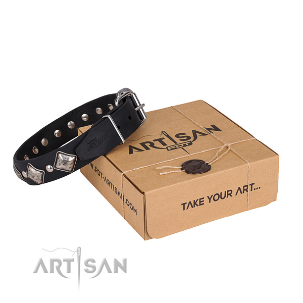 Casual style leather dog collar with fashionable adornments