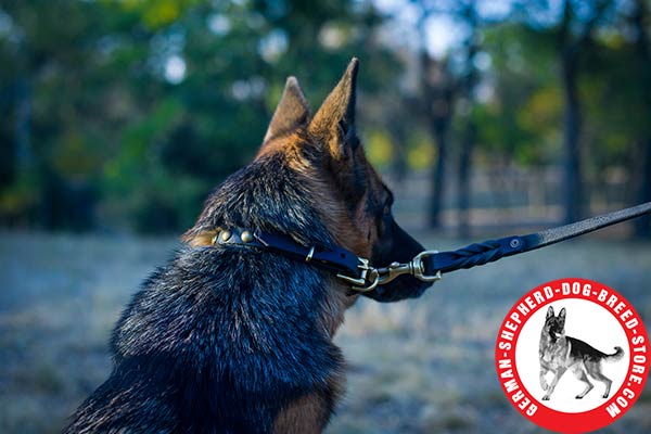 Hand-decorated Leather German Shepherd Collar with Smooth Brass Studs