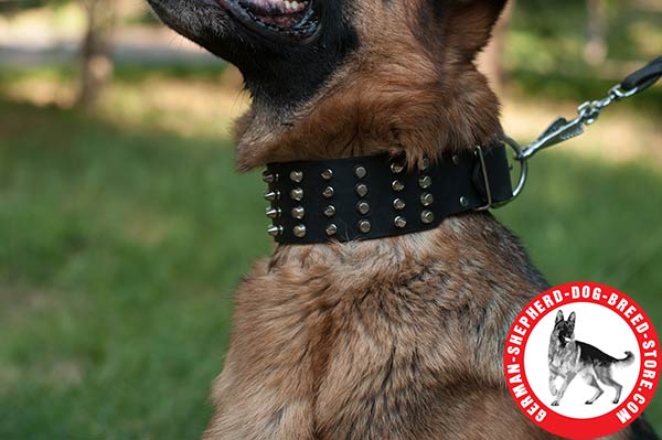 Shiny Nickel-plated Decorations on Wide Leather Collar