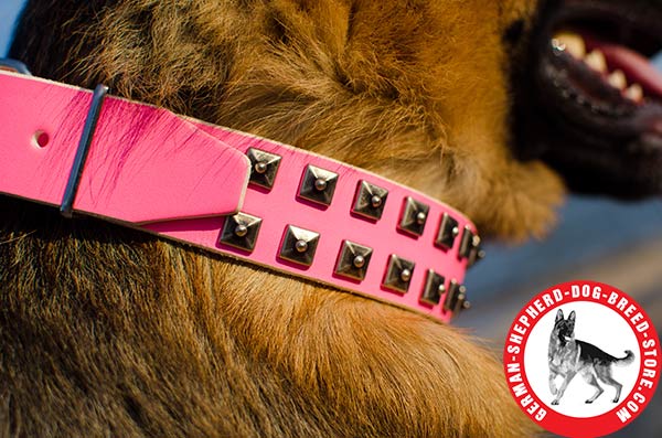 Stylish Leather Dog Collar with Unique Adornment