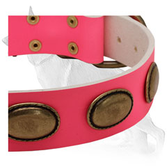 Brass Oval Plates on Leather German Shepherd Collar