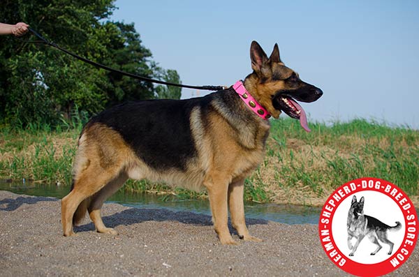 Pink Leather Collar with Vintage Decorations for German Shepherd Girl