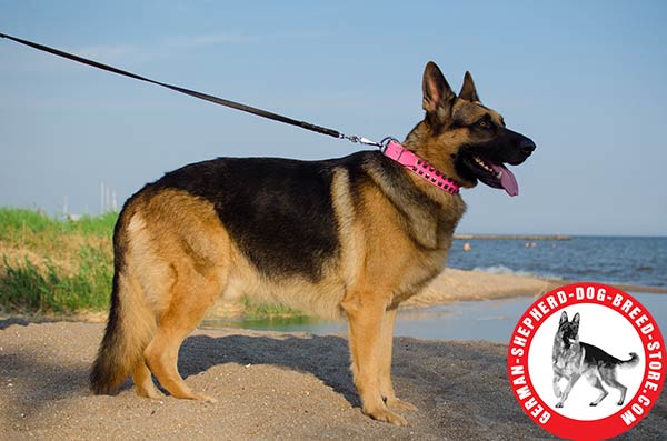 Excellent Pink Leather Collar for German Shepherd Girl