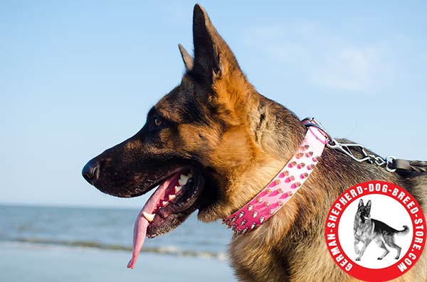 Fashionable Design Leather German Shepherd Collar with 3 Rows of Spikes