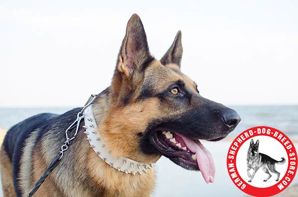 Elegant Design Leather German Shepherd Collar