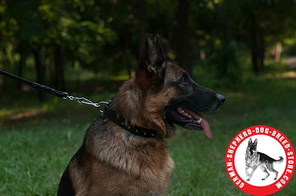 Handmade Spiked Leather Collar for German Shepherd Walking