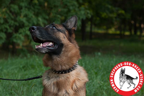 Fashionable Spiked Leather German Shepherd Collar