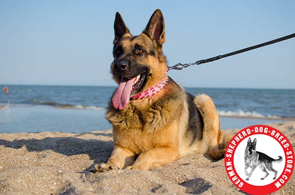 Stylish Pink Leather Collar with Spikes for German Shepherd