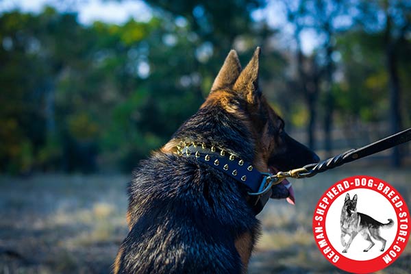 Chic Design Spiked Collar for German Shepherd