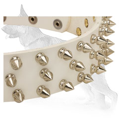 Nickel Spikes on German Shepherd Collar