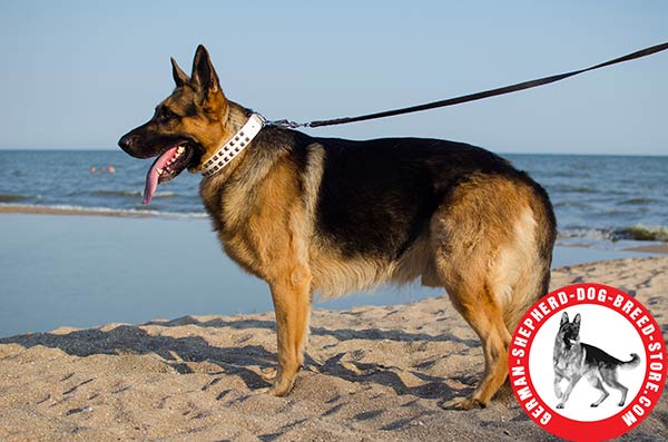 Excusively Designed Leather German Shepherd Collar with Elegant Decorations
