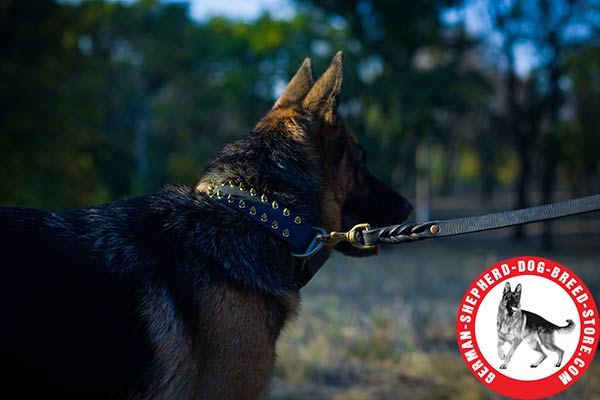 Reliable Handling Tool - Strong Leather German Shepherd Collar