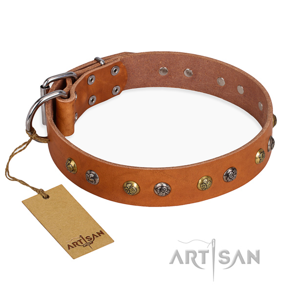 Daily walking significant dog collar with corrosion resistant fittings