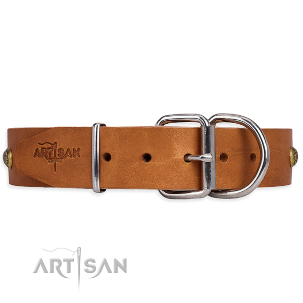 Full grain leather dog collar with fashionable corrosion proof studs