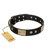 "Antique Gloss" FDT Artisan Black Leather German Shepherd Collar with Bronze-like Plates and Small Studs