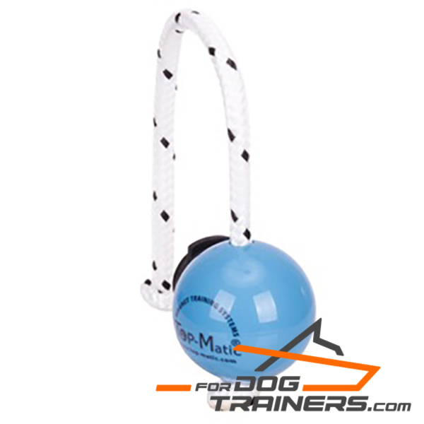 Dog ball on rope for training