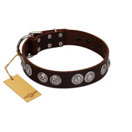 "High and Mighty" FDT Artisan Classy Brown Leather German Shepherd Collar with Embellished Brooches