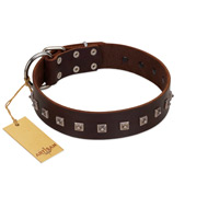"Kingly Grace" FDT Artisan Brown Leather German Shepherd Collar with Silver-like Dotted Studs