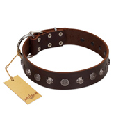 "Dark Chocolate" Handmade FDT Artisan Brown Leather German Shepherd Collar with Studs