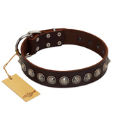 "Gothic Style" FDT Artisan Fancy Brown Leather German Shepherd Collar with Silver-Like Decorations