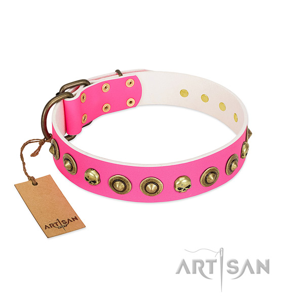 Genuine leather collar with amazing decorations for your canine