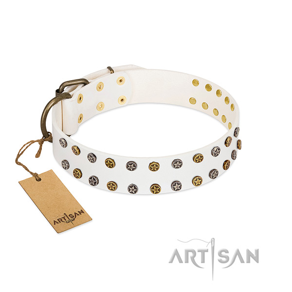 Exquisite full grain natural leather dog collar with rust-proof decorations