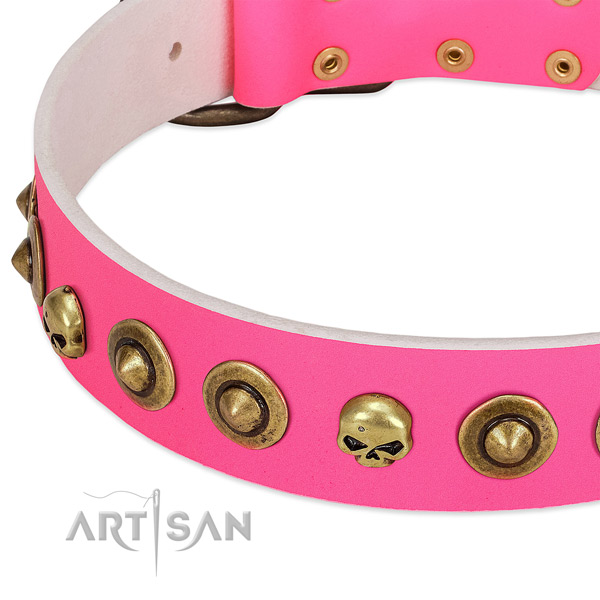 Unusual studs on genuine leather collar for your pet