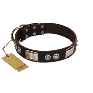 "Baller Status" FDT Artisan Brown Leather German Shepherd Collar Adorned with a Set of Chrome Plated Studs and Plates