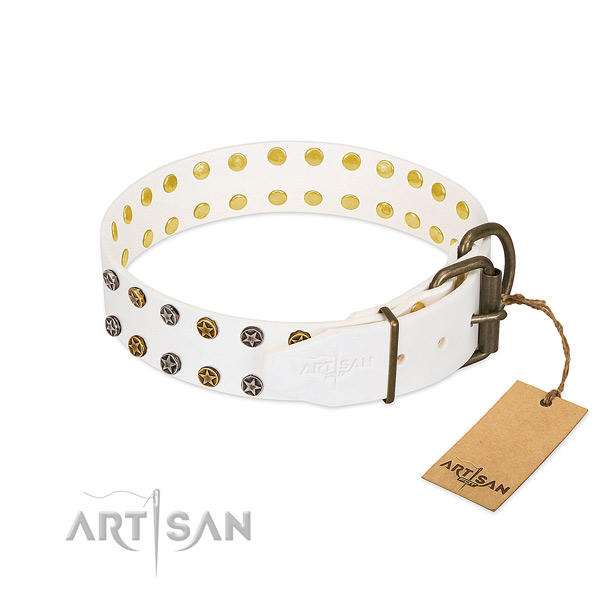 Leather collar with unusual embellishments for your pet