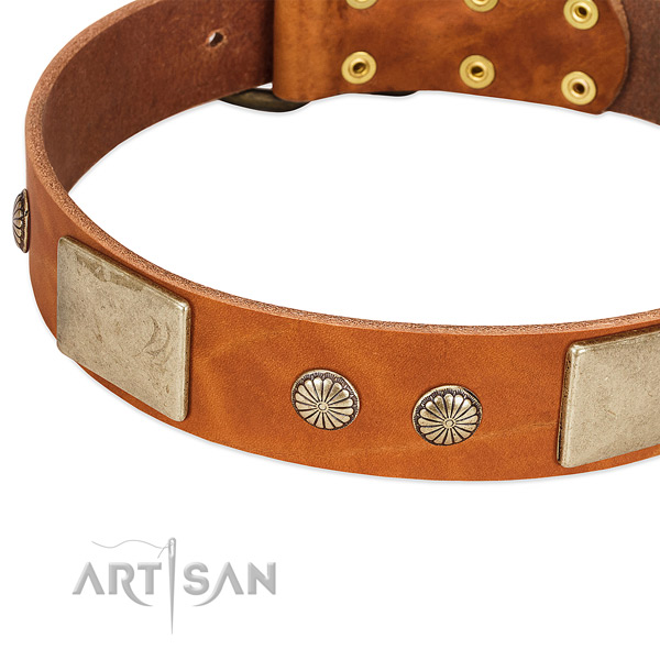 Corrosion resistant traditional buckle on natural genuine leather dog collar for your canine