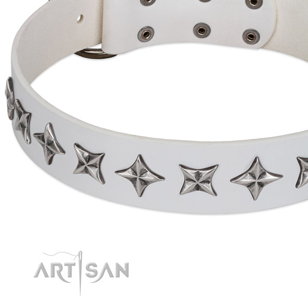 Daily walking embellished dog collar of best quality full grain natural leather