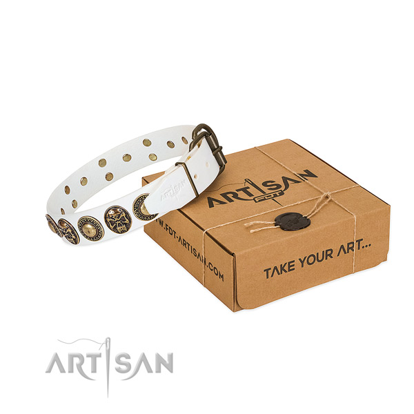 Rust resistant buckle on dog collar for comfortable wearing