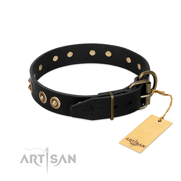 Rust resistant embellishments on full grain leather dog collar for your pet