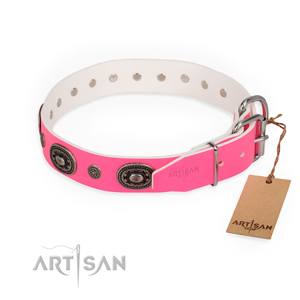 Everyday use easy adjustable dog collar with rust-proof D-ring