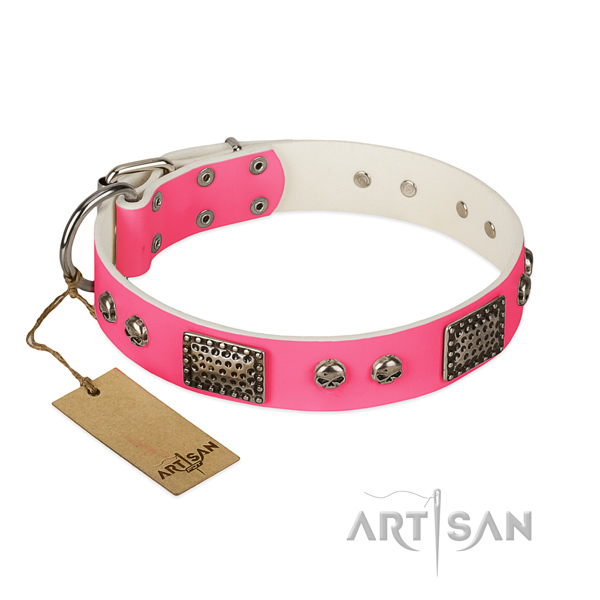 Adjustable full grain leather dog collar for everyday walking your dog