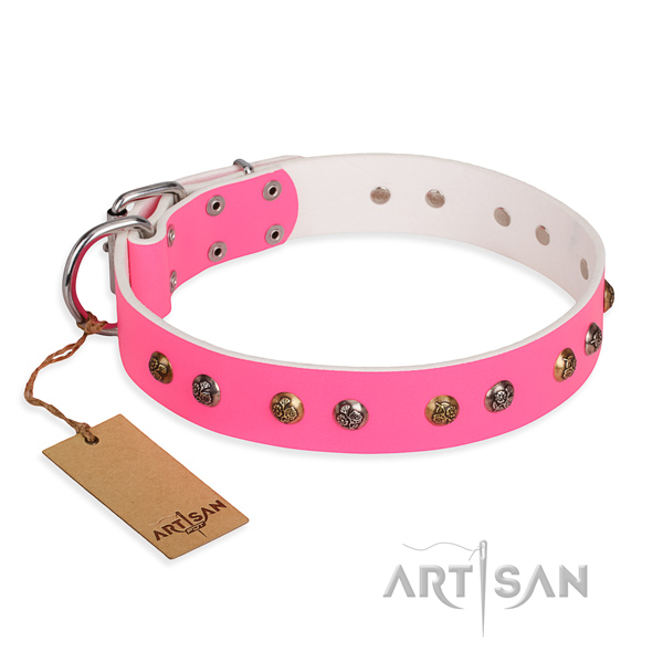 Comfy wearing easy to adjust dog collar with rust resistant D-ring