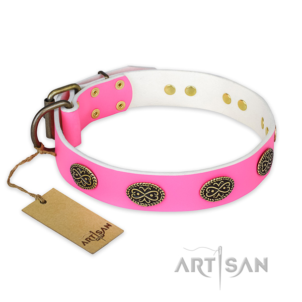 Remarkable full grain natural leather dog collar for daily walking