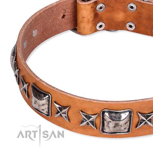 Daily walking decorated dog collar of strong full grain leather