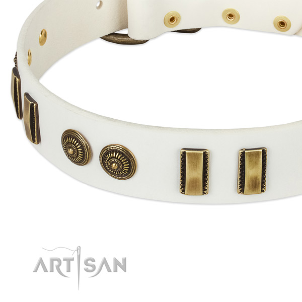Reliable decorations on genuine leather dog collar for your four-legged friend