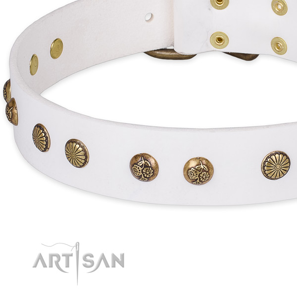 Leather collar with reliable traditional buckle for your impressive pet