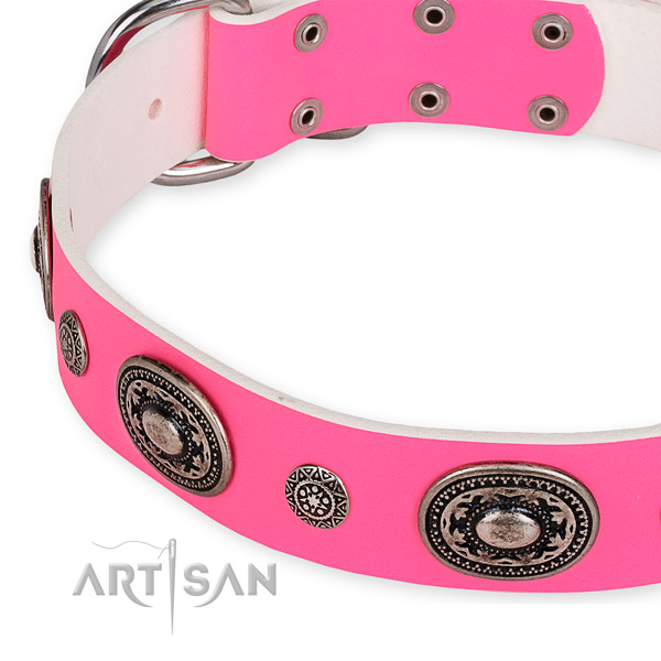 Leather dog collar with stunning reliable studs