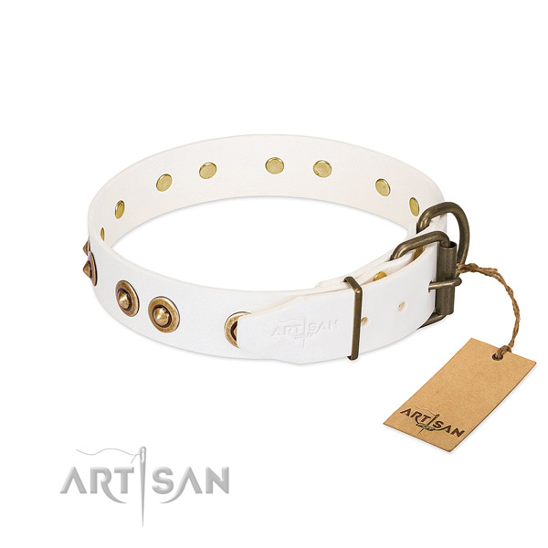 Corrosion resistant embellishments on natural leather dog collar for your dog