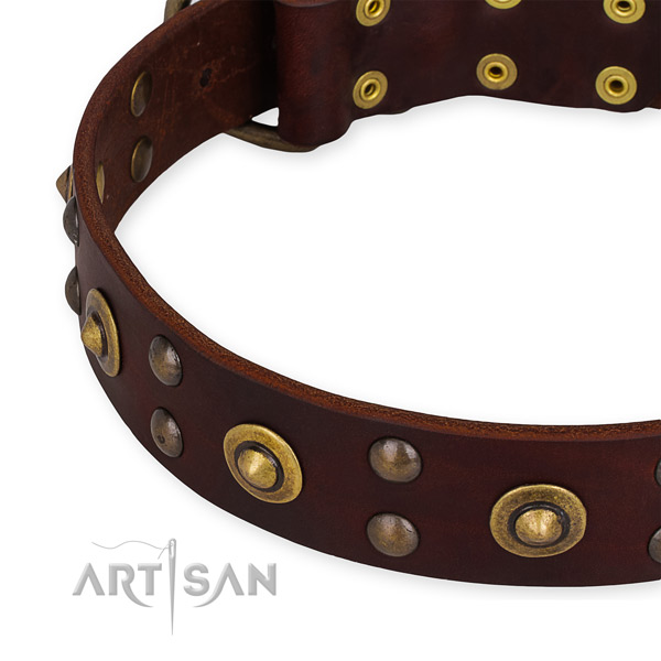 Full grain natural leather collar with corrosion resistant traditional buckle for your attractive four-legged friend