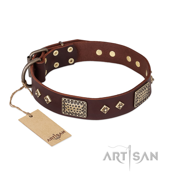 Easy wearing leather dog collar for daily use